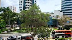 Crystal Court (D10), Apartment #466082131